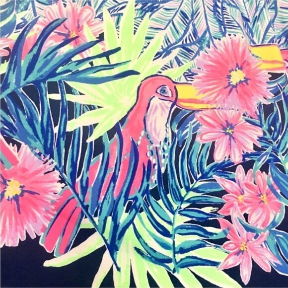 Lilly Pulitzer Dress - Picture 6 of 9